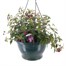 Fuchsia Mixed Plastic Hanging Pot BeddingAlternative Image1