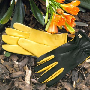 gold leaf gardening gloves