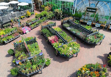 Longacres Bourne Valley aerial view of the plant department full of different shrubs