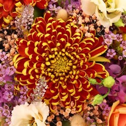 Autumn Bouquets & Arrangements