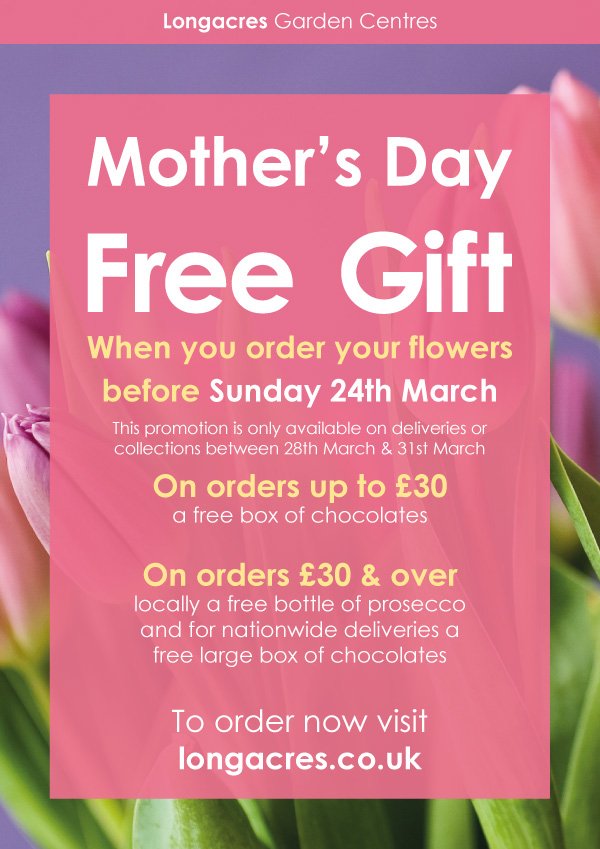 Mother's Day Belgian Chocolate Gift Boxes | Flowers Buy Delivery