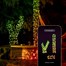 250 App Controlled RGB LED Smart Christmas String Lights from TwinklyAlternative Image4