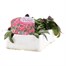 Arabis Spring Charm 6 Pack Boxed BeddingAlternative Image3