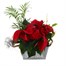 Christmas Festive Houseplant Basket Arrangement - Design 5Alternative Image1