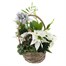 Christmas Festive Houseplant Basket Arrangement - Design 6Alternative Image1