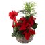 Christmas Festive Houseplant Basket Arrangement - Design 8Alternative Image1