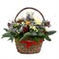 Christmas White and Silver Festive Floral Festive Basket ArrangementAlternative Image4