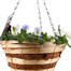 Cool Wave Pansy Mixed Wicker Hanging Cone 12 InchesAlternative Image1