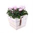 Cyclamen Wooden Sqaure Heart Bedding Planter - Design 1Alternative Image1