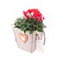 Cyclamen Wooden Sqaure Heart Bedding Planter - Design 2Alternative Image1