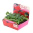 Geranium F1 Hybrid Red 20 Baby Bedding Cell Plug PlantsAlternative Image1