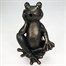 Hydria Water Feature Collectible Fountin Head - Fribett the Frog - Direct Dispatch (P-487639)Alternative Image2