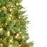 National Tree 2.3m (7.5ft) Newberry Blue Spruce Pre Lit Artificial Christmas Tree with 750 Warm White LEDs (PENDB2-300LB-75)Alternative Image1