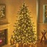 National Tree 2.3m (7.5ft) Vienna Fir Pre Lit Artificial Christmas Tree with 700 Warm White LEDs (PEVN2-307LBO-75)Alternative Image1