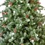 National Tree 2m (6.5ft) Frosted Dorchester Artificial Christmas Tree (PEDHF2-500-65)Alternative Image2