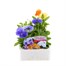 Pansy F1 Clarity 6 Pack Boxed BeddingAlternative Image1