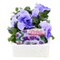 Pansy F1 Light Blue 6 Pack Boxed BeddingAlternative Image1