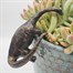 Potty Feet Decorative Pot Buddies - Antique Bronze Brachiosaurus (PB0038)Alternative Image1
