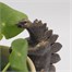 Potty Feet Decorative Pot Buddies - Antique Bronze Stegosaurus (PB0039)Alternative Image1