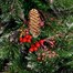 Premier 1.8m (6ft) Snow Tipped Artificial Christmas Tree with Cones And Berries (FT141111)Alternative Image1