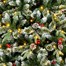 Premier 2.4m (8ft) Pre Lit New Jersey Artificial Christmas Tree With 240 Warm White LEDs (TR800NJL)Alternative Image3