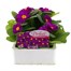 Primrose F1 Ambie Violet 6 Pack Boxed BeddingAlternative Image1