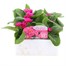 Primrose Raesbury Rose Super 6 Pack Boxed BeddingAlternative Image1