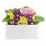 Primrose F1 Spring Sunshine 6 Pack Boxed BeddingAlternative Image1