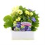 Primrose F1 Vanilla Sky 6 Pack Boxed BeddingAlternative Image1