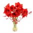 Red Amaryllis Letter Box FlowersAlternative Image2