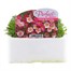 Saxifrage Pixie 6 Pack Boxed BeddingAlternative Image1