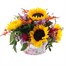 Sunflower Autumn Floral Tin ArrangementAlternative Image2