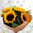 Sunflower Cut Flower Wrap Teachers Gift BouquetAlternative Image2