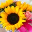 Sunflower Tin Cut Flower Teachers Gift ArrangementAlternative Image1