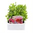 Sweet Pea Spencer Waved Mix 6 Pack Boxed BeddingAlternative Image1