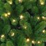 Tree Classics 1.8m (6ft) Blue Green Arctic Spruce Pre-Lit with Warm LEDs Artificial Christmas Tree (H72-626-386LM)Alternative Image1