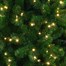 Tree Classics 2.1m (7ft) Blue Green Arctic Spruce Pre-Lit with Warm LEDs Artificial Christmas Tree (H84-854-386LM)Alternative Image1