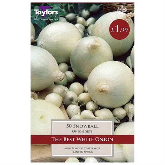 Taylors Bulbs Onion Snowball (50 Pack) (VP240)