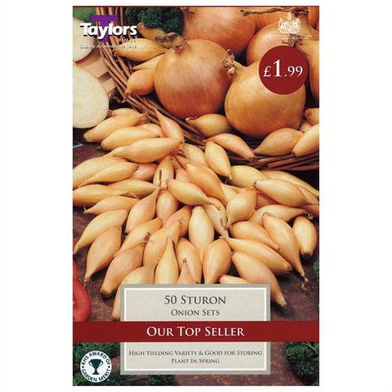 Taylors Bulbs Onion Sturon (50 Pack) (VP250)