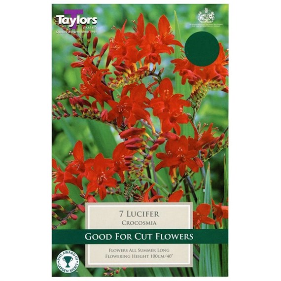 Taylors Bulbs Crocosmia Lucifer (7 Pack) (TS667)