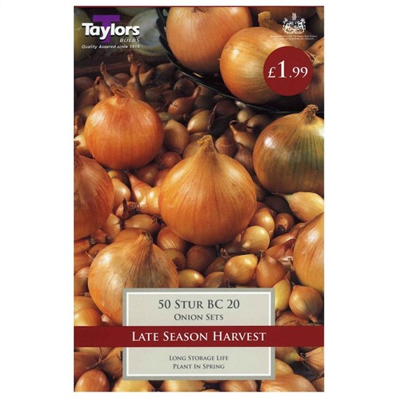 Taylors Bulbs Onion Stur Bc 20 (50 Pack) (VP245)