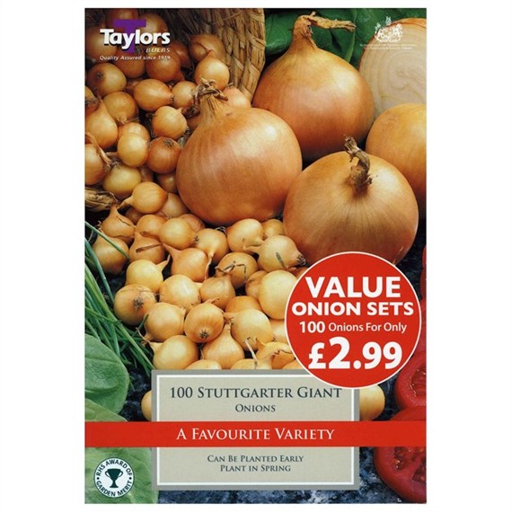 Taylors Bulbs Value Onion Stuttgarter Giant (100 Pack) (ESV260)