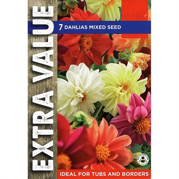 Taylors Bulbs Dahlias Mixed Seed (7 Pack) (ESV511)