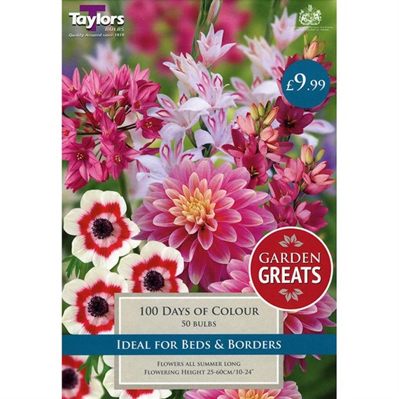 Taylors Bulbs 100 Days Of Colour Collection (50 Pack) (SV306)