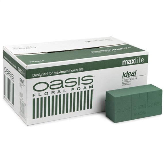 Oasis® Ideal Floral Foam Bricks (Wet) Box of 20 (1140)