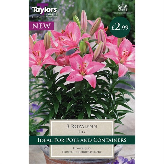 Taylors Bulbs Lily Rozalynn (3 Pack) (TS595)