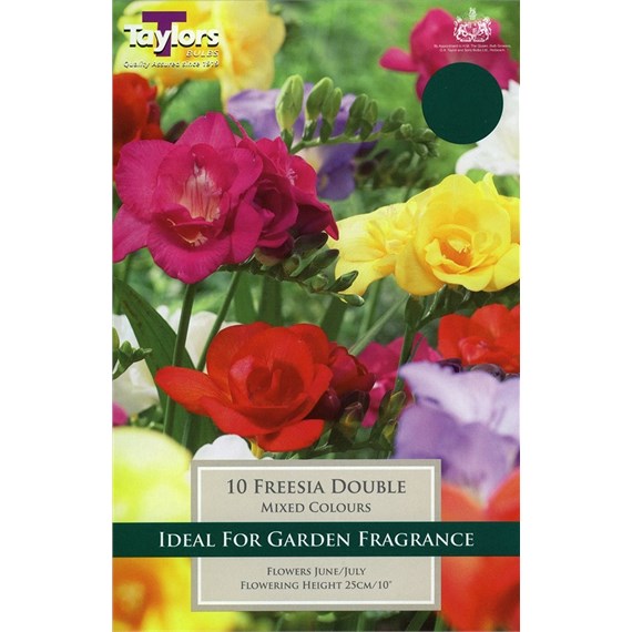 Taylors Bulbs Freesia Mixed Double (15 Pack) (TS675)