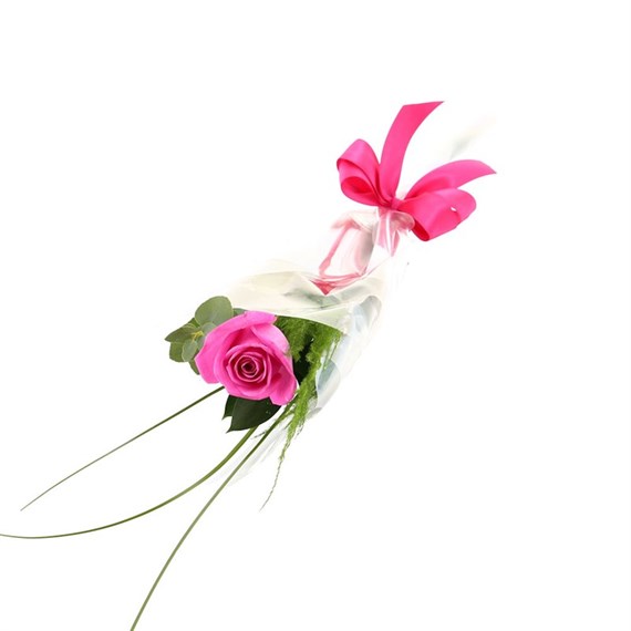 A Single Long Stem Pink Rose Valentine's Day