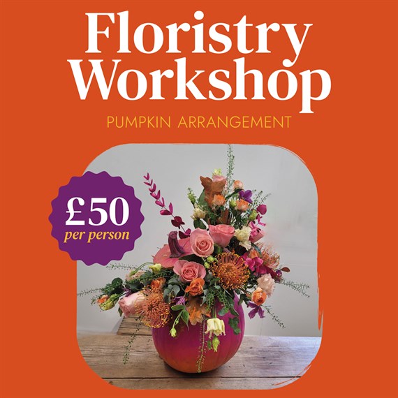 Bagshot Floral Pumpkin Arrangement Workshop - Sunday 27th October 2024