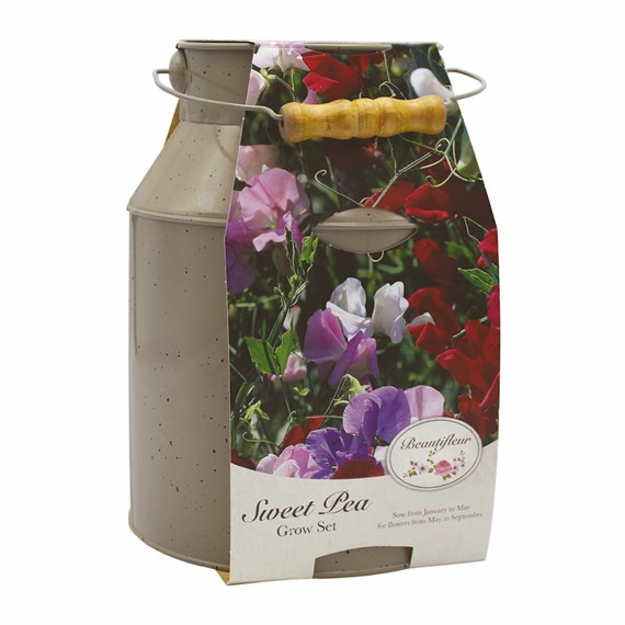 Beautifleur Sweet Pea Milk Churn Grow Set (040036)